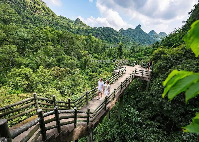 Cozy 3* Hạ Long